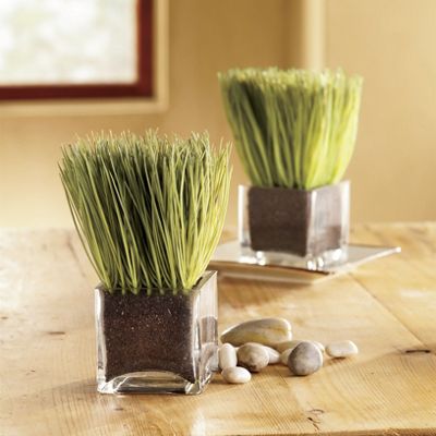 Faux Lemongrass In Glass
