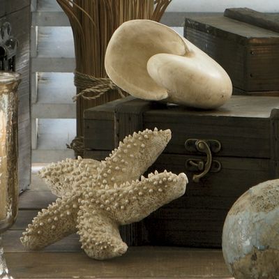 Starfish And Seashell