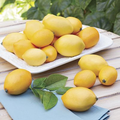 How to Brighten Linens Tip