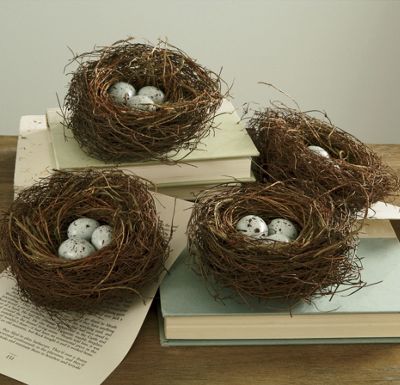 Bird Nest Quartet