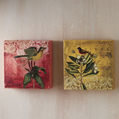 Set Of 2 Bird Canvases