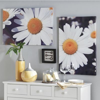 Set Of 2 Daisy Canvases