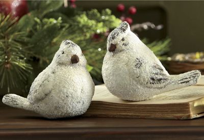 Set Of 2 Winter Birds