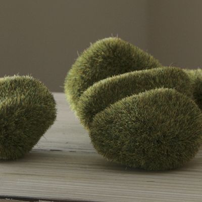 Decorative Moss Forms