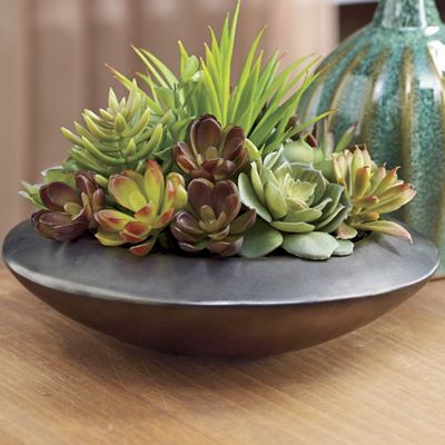 Succulent Garden