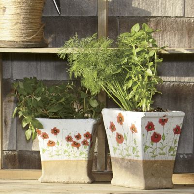 set of 2 poppy planters