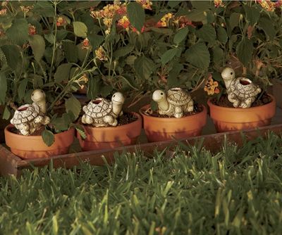 set of 4 turtle plant watering stakes