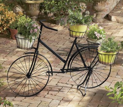soporte de la planta de bicicleta 1