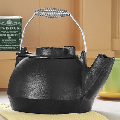 Cast Iron Teakettle
