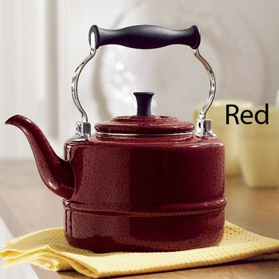 Paula Deen Enamel On Steel Teakettle