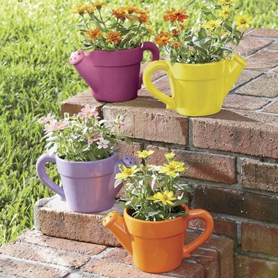 watering can flower pots