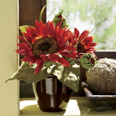 red sunflower floral