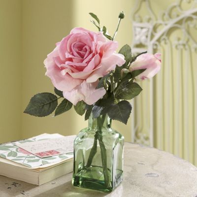 presentation rose