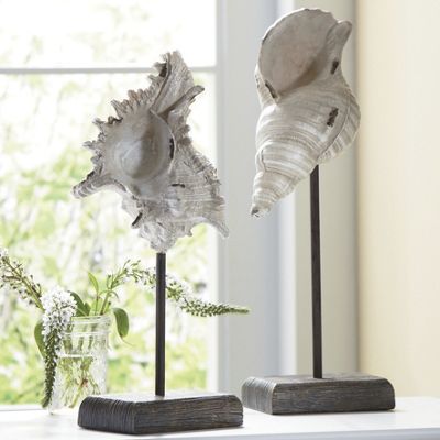 set of 2 seashells