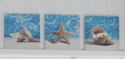 set of 3 seashell prints