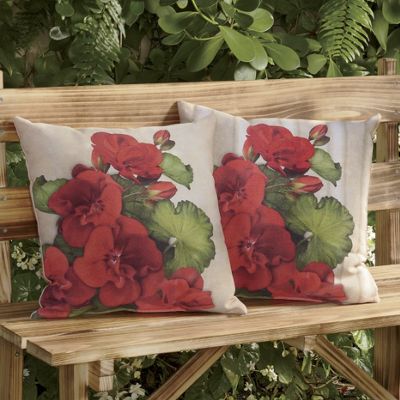 geranium pillow 31