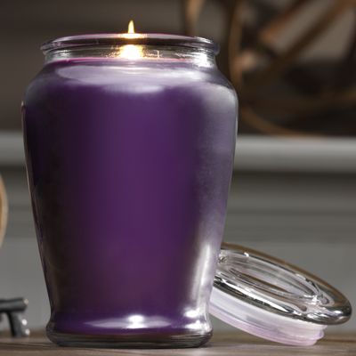 22 oz ripe blackberries jar candle
