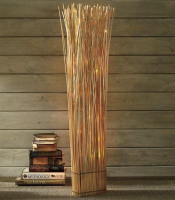 Willow Branch Accent Light