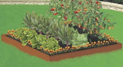 4 Panel and 8 Panel Raised Garden Kits