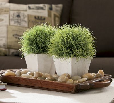 Grass Topiary