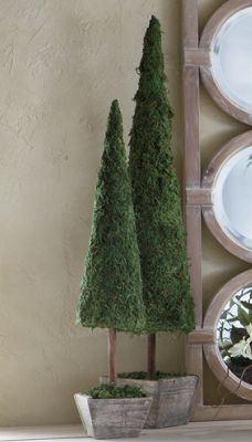 Topiaries Mossy Set Of 2
