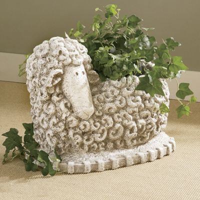 Planter Curly Sheep