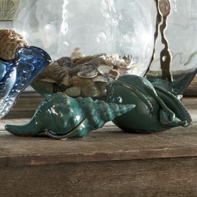 set of 2 turquoise shells