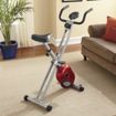 Folding Magnetic X Bike by Cory Everson
