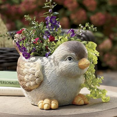 yellow beaked chipperdee planter