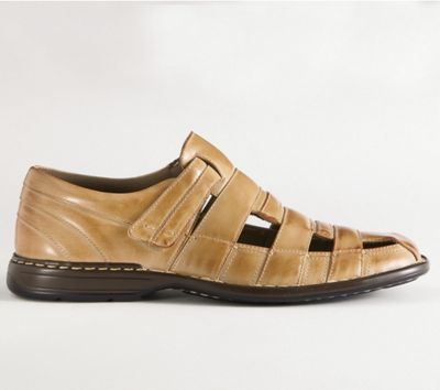 Brisbane Shoe By Stacy Adams