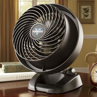 Vornado Fan Your Portable Breeze