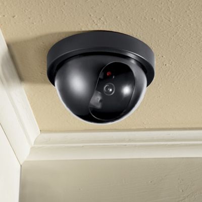 Faux Security Camera Motion Detector