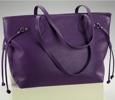 Sidekick Tote Bag