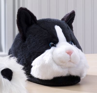 Slippers Cat