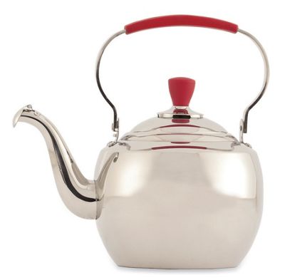 Stainless Steel Teapot