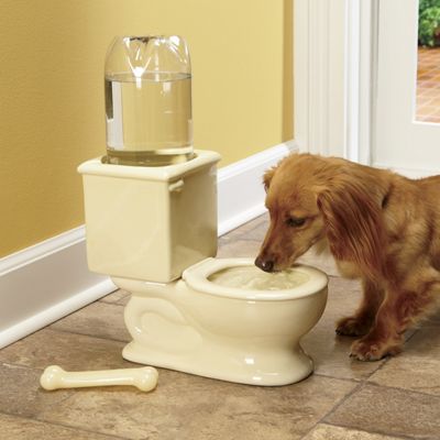 Toilet Water Bowl