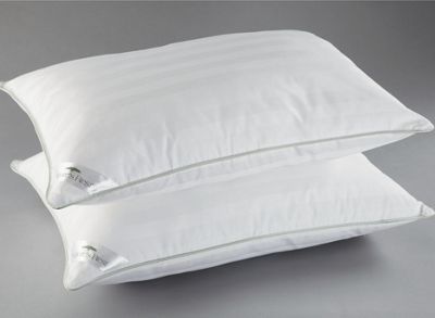 NatureS Rest Pillows Set Of 2