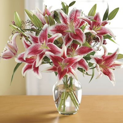 Stargazer Lilly Pink Wax Bouquet