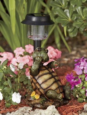 solar turtle