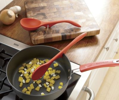 Lazy Spoon and Ladle by Rachael Ray