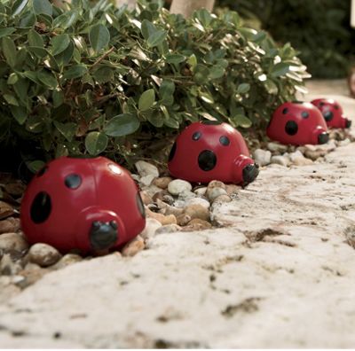 Set Of 4 Solar Ladybugs 1