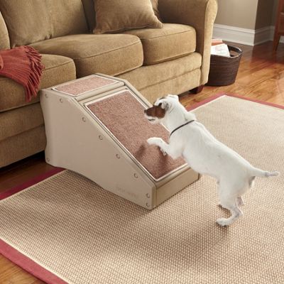 pet ramp