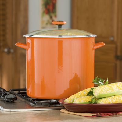 Rachael Ray 16 Quart Stockpot