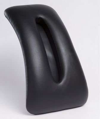Back Fantastic