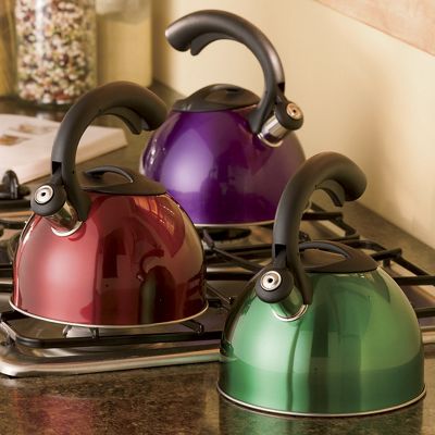 Colored Ss Tea Kettle