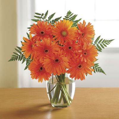 Orange Gerbera Daisy Bouquet