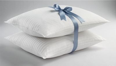 Set Of 2 Memory Loft Curve Pillows