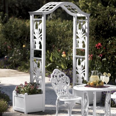 Tulip Arbor 1