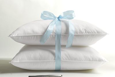 Egyptian Cotton Covered Pillows
