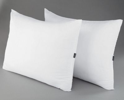 Sensorpedic Memory Loft Pillow Set Of 2